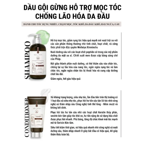 Combo Dầu Gội Xả Gừng Weilaiya Màu Nâu Zingiber X2 Ginger Essence Giúp Làm Sạch Gàu
