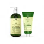 Combo Dầu Gội Xả Gừng Weilaiya Màu Xanh Zingiber Detox X2 Ginger Essence Giúp Tóc Bóng Khỏe Giảm Gãy Rụng