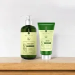 Combo Dầu Gội Xả Gừng Weilaiya Màu Xanh Zingiber Detox X2 Ginger Essence Giúp Tóc Bóng Khỏe Giảm Gãy Rụng