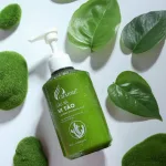 Combo Gội Xả Vi Tảo Charme Tặng Xịt Tóc