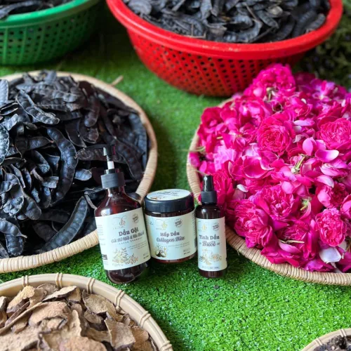 Combo Gội Xả Xịt Bồ Kết Bưởi Dừa Dr Di Hi