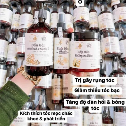 Combo Gội Xả Xịt Bồ Kết Bưởi Dừa Dr Di Hi
