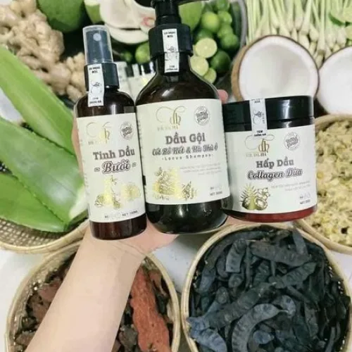 Combo Gội Xả Xịt Bồ Kết Bưởi Dừa Dr Di Hi