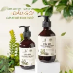 Combo Gội Xả Xịt Bồ Kết Bưởi Dừa Dr Di Hi