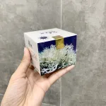 Combo Kem Face Silex Ngày Đêm 10g/Hộp