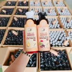 Dầu Xả Nhân Sâm Đỏ X6 Dr Di Hi