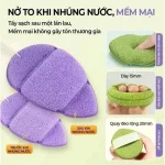 Hộp 3 Miếng Bông Mút Rửa Mặt Bọt Biển Xunfuji (Không Chữ)