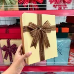 Hộp Quà Giấy Chữ Nhật Lớn Nhiều Màu Nắp Rời Có Thắt Nơ 16x21x7cm - Hộp Không Có Hoa Rơm Giao Ngẫu Nhiên