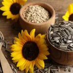 Hộp Quà Tết Hạt Hướng Dương 300g - Hộp Sun Khía Hộp Quà Tết 2026