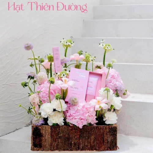 Kem Chống Nắng Hạt Thiên Đường Ha Meea Preamium 50+ Spf Pa++++ 50g