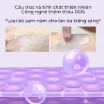 Kem Face DNA Pro Cá Hồi Collagen Cream V2 Meea Origin Mini 10g