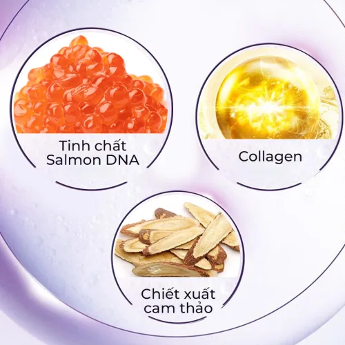 Kem Face DNA Pro Cá Hồi Collagen Cream V2 Meea Origin Mini 10g