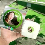 Kem Face Nám Bạc Hà Kiều Anh 10g