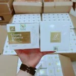 Kem Face Nám Nhân Sâm Ginseng Melasma A Cosmetics 2024 Mỹ Phẩm Phương Anh