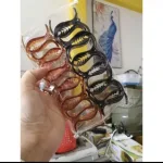 Lố 12 Kẹp Càng Cua 3 Răng 2 Màu Nâu Và Đen