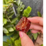 Táo Sấy Dẻo Không Hạt Thơm Ngon Hộp 500g