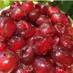 Táo Sấy Dẻo Không Hạt Thơm Ngon Hộp 500g