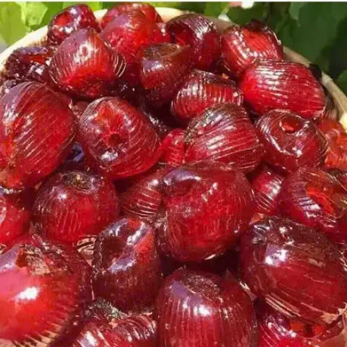 Táo Sấy Dẻo Không Hạt Thơm Ngon Hộp 500g