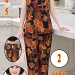 Đồ bộ nữ áo tay cánh tiên quần lửng tole nhung Thành Đạt ms2 - 2345