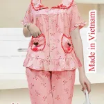 Đồ Bộ Nữ Quần Lững CT hàn Lững HT05223
