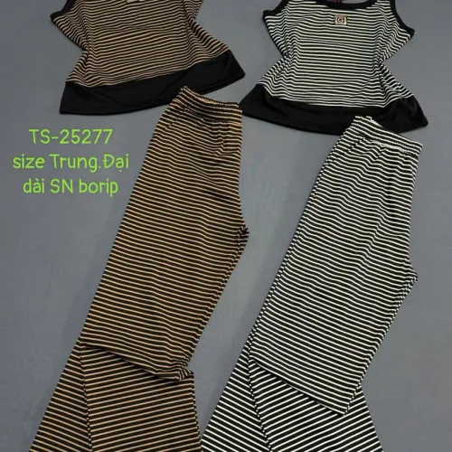 Đồ Bộ nữ Sát Nách TS-25277 size Trung Đại Quần dài Thun Borip
