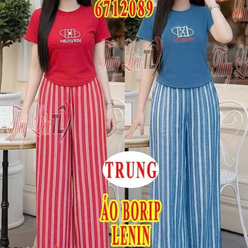 Đồ Bộ Nữ TL 2067 áo borip quần lenin Trung