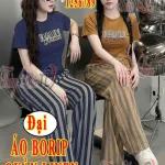 Đồ Bộ Nữ TL-2567 áo borip quần lenin ĐẠI