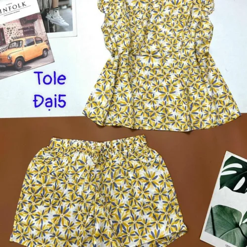 Đồ bộ vải tole số 5 quần đùi áo sát nách bèo