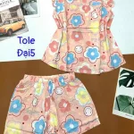 Đồ bộ vải tole số 5 quần đùi áo sát nách bèo