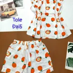 Đồ bộ vải tole số 5 quần đùi áo sát nách bèo