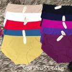 Quần đúc nữ Victoria cao cấp size to (combo 10 cái)