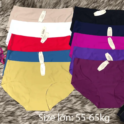 Quần đúc nữ Victoria cao cấp size to (combo 10 cái)