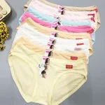 Combo 10 quần lót nữ thông hơi size lớn