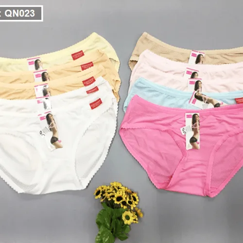 Combo 10 quần lót nữ thông hơi size lớn