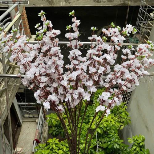 Set 10 CÀNH HOA MAI - ĐÀO TẾT