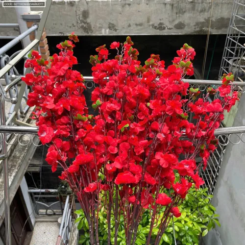 Set 10 CÀNH HOA MAI - ĐÀO TẾT