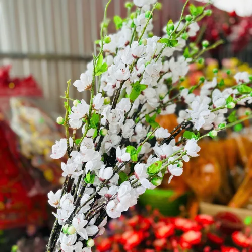 Set 5 CÀNH HOA ĐÀO CỔ - Loại Dài