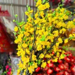 Set 5 CÀNH HOA ĐÀO CỔ - Ngắn