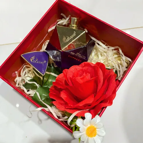 Set Hộp Quà Tặng Nước Hoa Nữ Good Charme Empress 50ml - Hộp Hoa Rơm Nhiều Màu