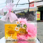 Set Quà Tặng Nước Hoa Nữ Charme Chance 30ml - Túi Trong Vuông Có Đèn Đom Đóm Lót Giấy Rơm Thắt Nơ Xinh Xắn Nhiều Màu
