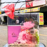 Set Quà Tặng Nước Hoa Nữ Charme Chance 50ml Hương Thơm Cá Tính Tươi Mát -Túi Trong Vuông Có Đèn Đom Đóm Lót Giấy Rơm Thắt Nơ Xinh Xắn Nhiều Màu