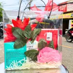 Set Quà Tặng Nước Hoa Nữ Charme Very Good Girl Xịt Có Kim Tuyến 100ml Hương Thơm Ngọt Ngào Quyến Rũ - Túi Trong Vuông Có Đèn Đom Đóm Lót Giấy Rơm Thắt Nơ Xinh Xắn Nhiều Màu