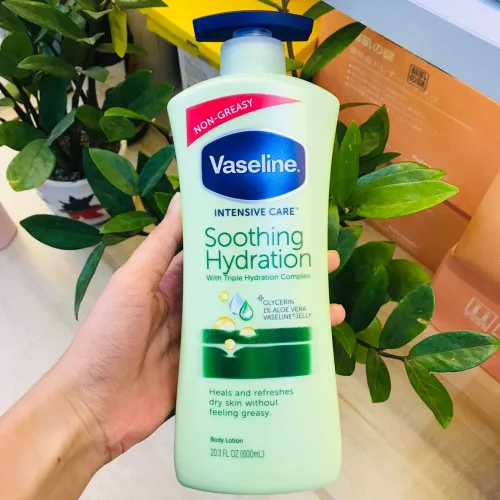 Sữa dưỡng thể Vaseline xanh lá 725ml: gợi ý cho da khô