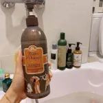 Sữa Tắm Tesori D'Oriente Hoa Sen 500ml
