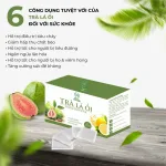 Trà Là Ổi Hỗ Trợ Giảm Mỡ Guava Leav Tea Maria Pharma