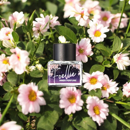 Thành Phần Nước hoa vùng kín Foellie eau de cherry blossom