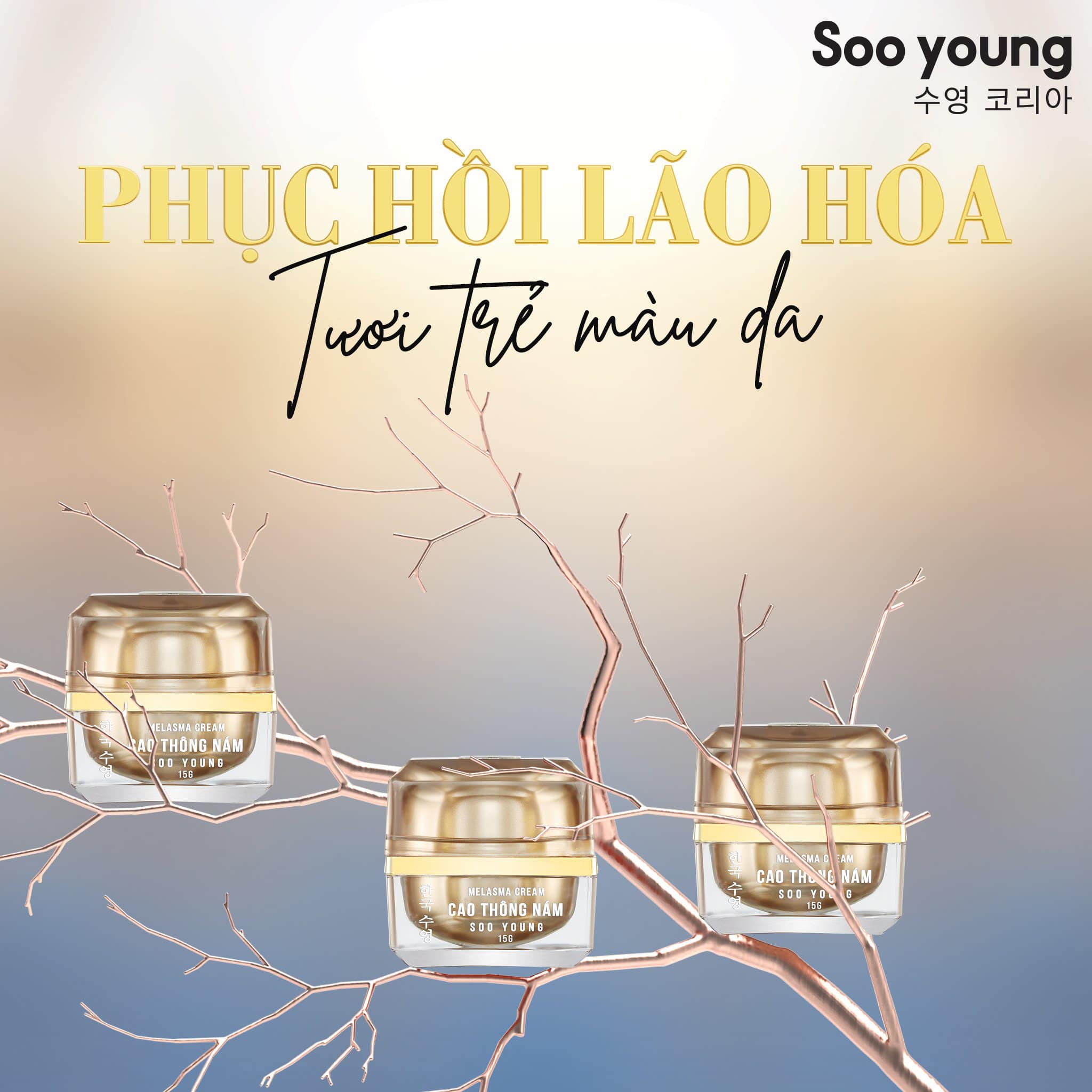Cao thông nám - thần dược của làn da nám tàn nhang
