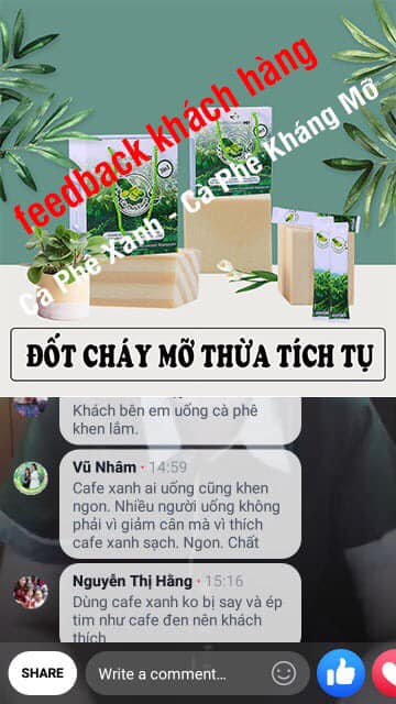 Cà phê Xanh kháng mỡ và sức hấp dẫn không thể nào chối từ