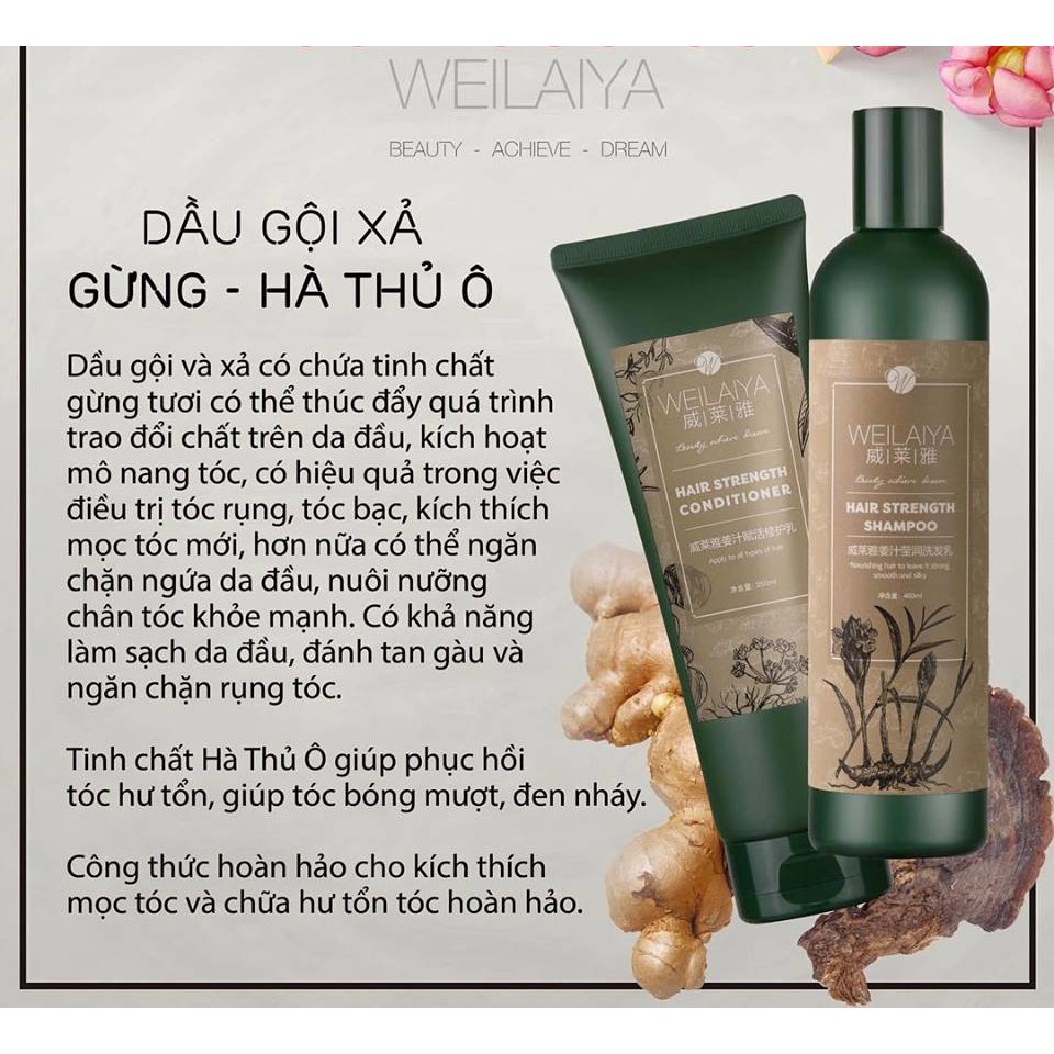 Combo dầu gội xả gừng hà thủ ô Weilaiya chính hãng