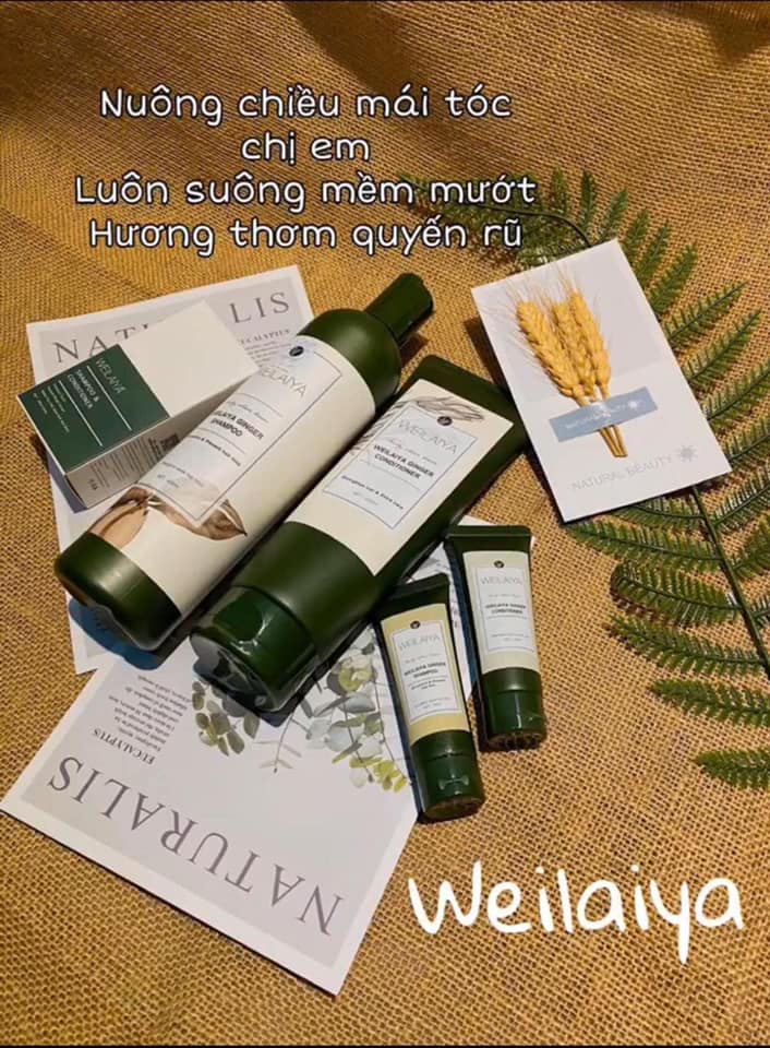 15100-124100758-2257634111049203-3012328690512872929-n-5.jpg Combo bộ dầu gội xả Weilaiya mọc tóc chiết xuất gừng xả - 6971025880370